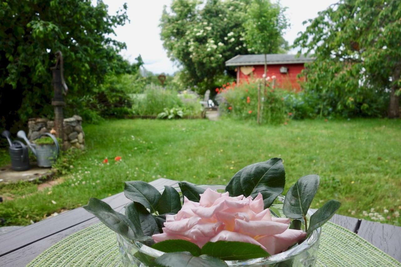 Ferienwohnung Bodenseenahe ruhige Ferienoase Uhldingen-Mühlhofen Exterior foto